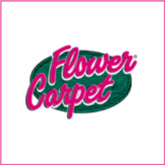 Flower-Carpet® Rosen