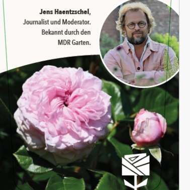 Jens Haentzschel ® – Bild 2