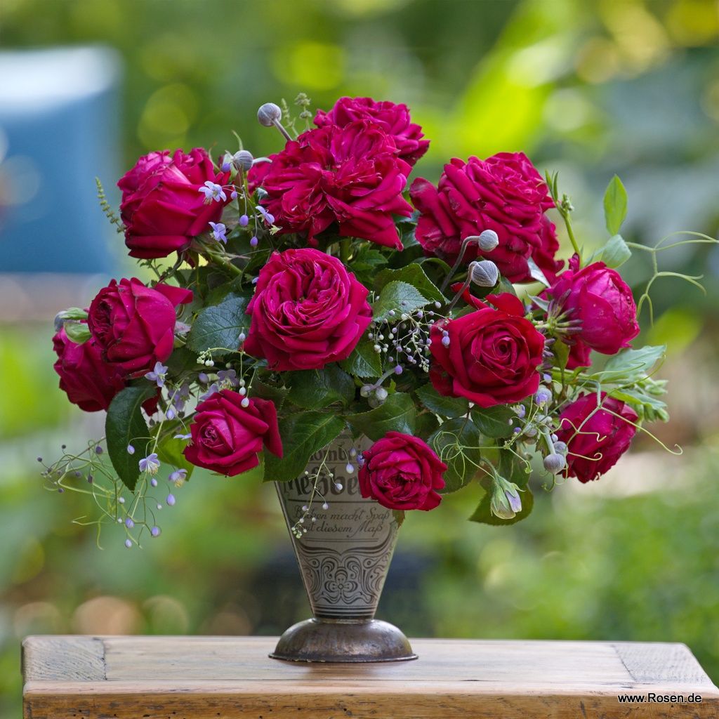Ruby Kiss ® – Bild 2